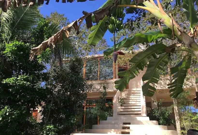 Hotelli Casa Maya Calakmul