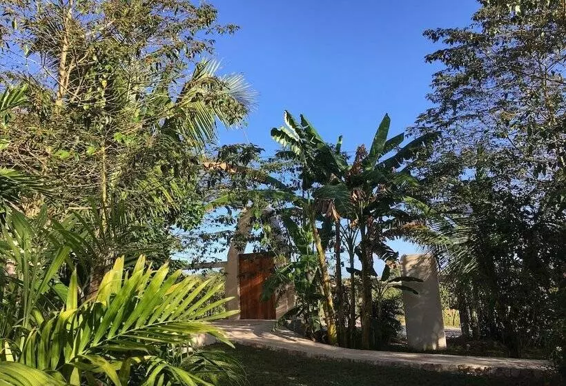 Hotelli Casa Maya Calakmul
