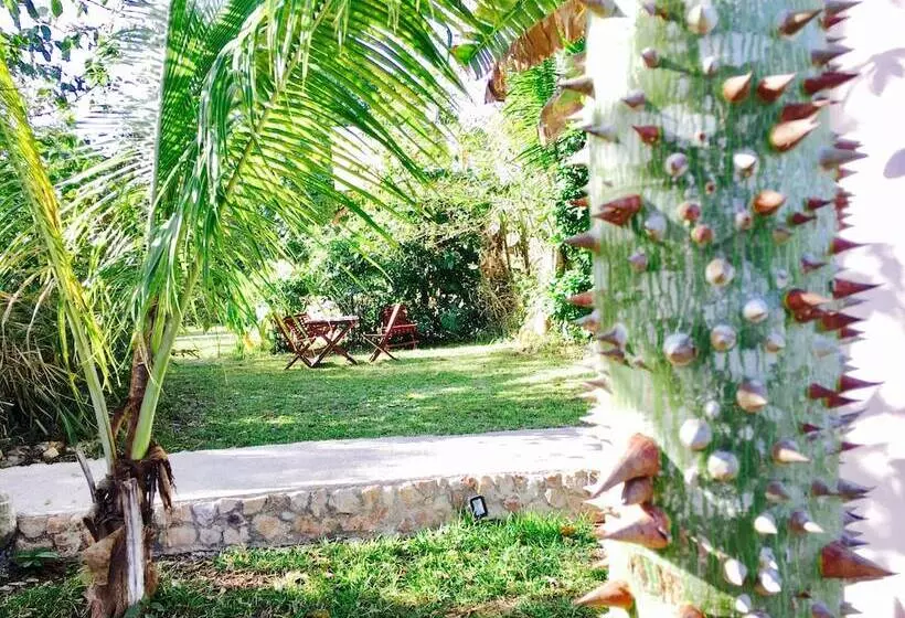 Hotelli Casa Maya Calakmul