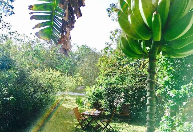 Hotel Casa Maya Calakmul