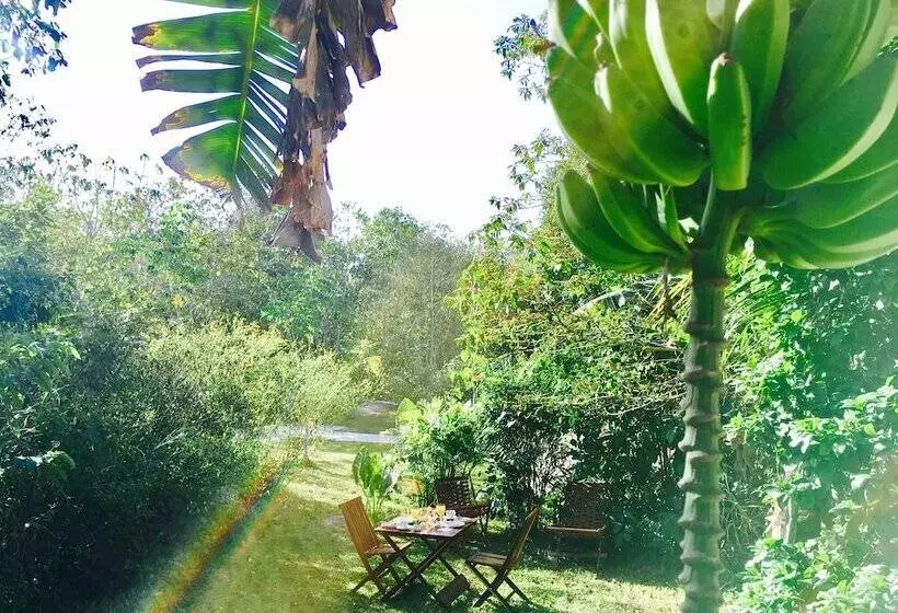 Hotelli Casa Maya Calakmul