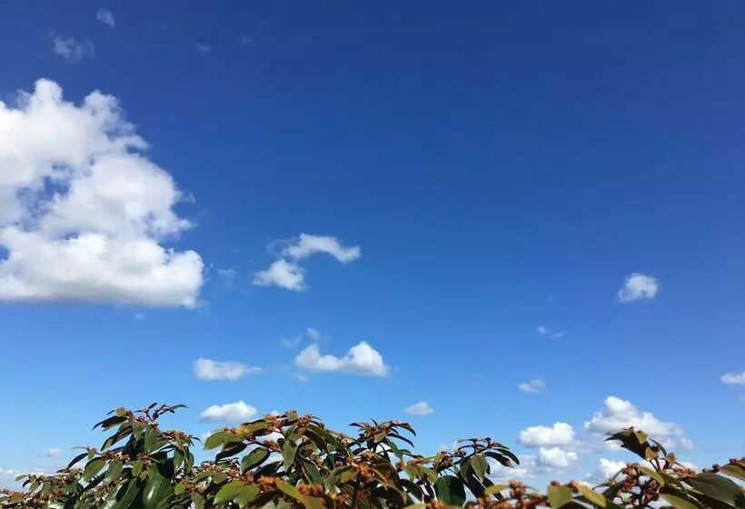 Hotelli Casa Maya Calakmul