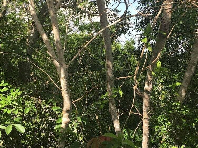 Hotel Casa Maya Calakmul