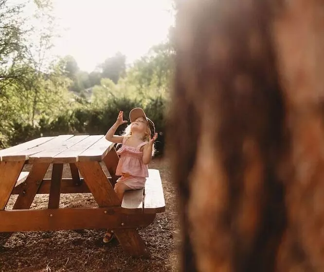 Hotelli Corduroy Boutique Lodge