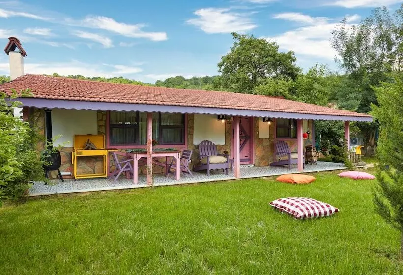 ホテル Dachas Cove