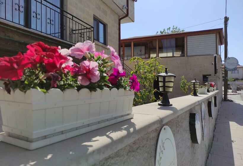 هتل Daphne Luxury Rooms