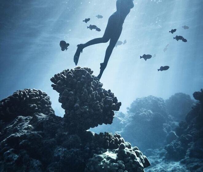 هتل Gk Palm Resort Watamu