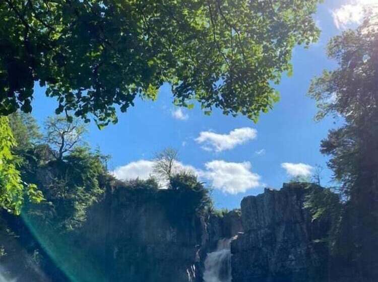 Отель High Force