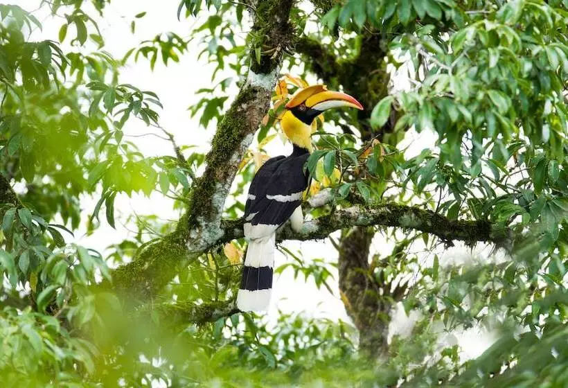 Hotelli Intercontinental Khao Yai Resort By Ihg