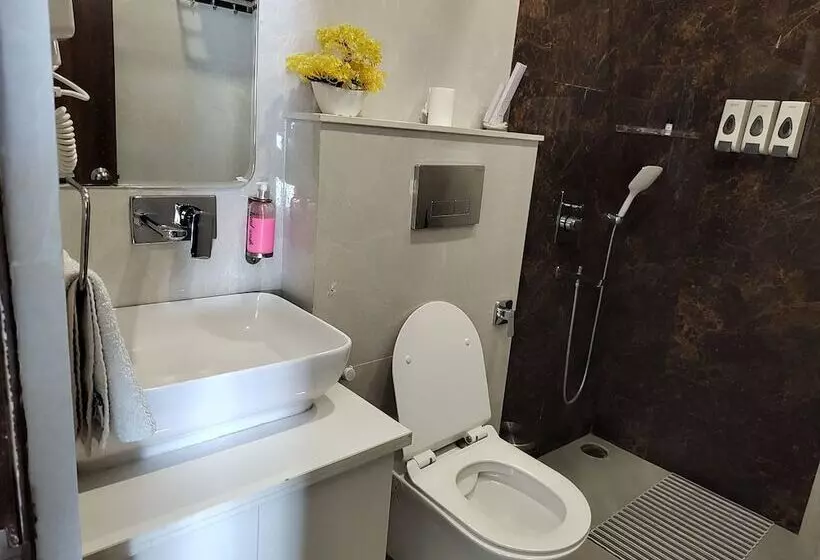 Hotelli Le Halcyon , Kasauli