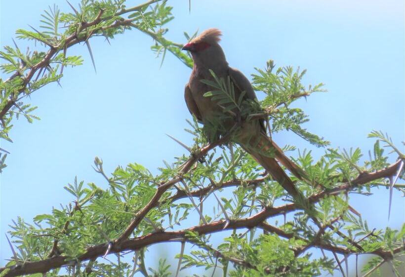 فندق Mthembuskloof Country Lodge