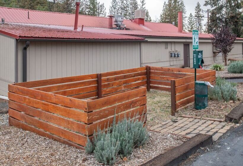 モーテル Buck Meadows Lodge