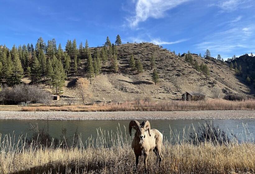汽车旅馆 River S Fork Lodge