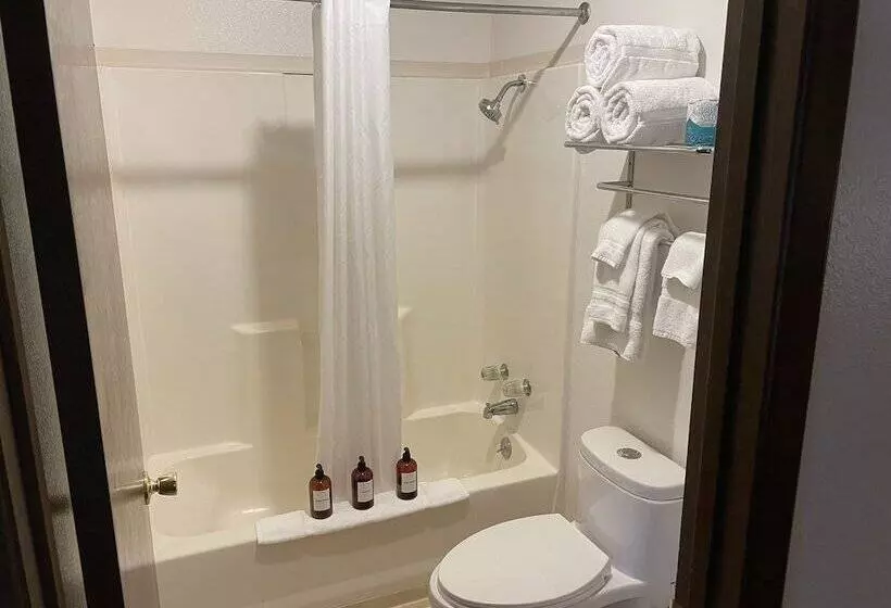 モーテル River S Fork Lodge