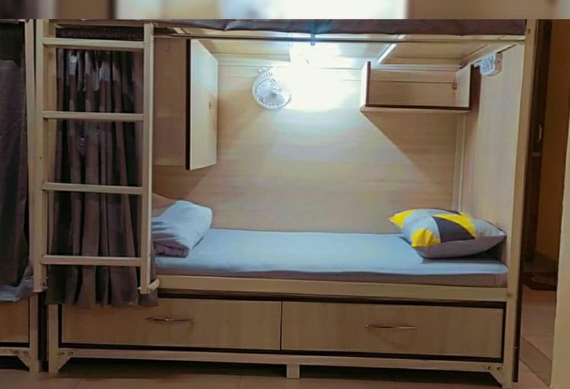 Abuzz Oxfordcaps Shimla   Hostel