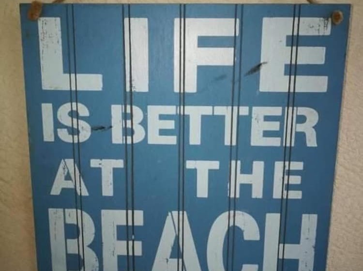 Bed On A Boat Holiday In The Heart Of Torquay