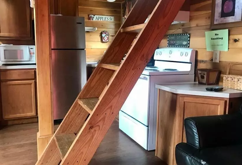 Hales Bar Marina And Resort