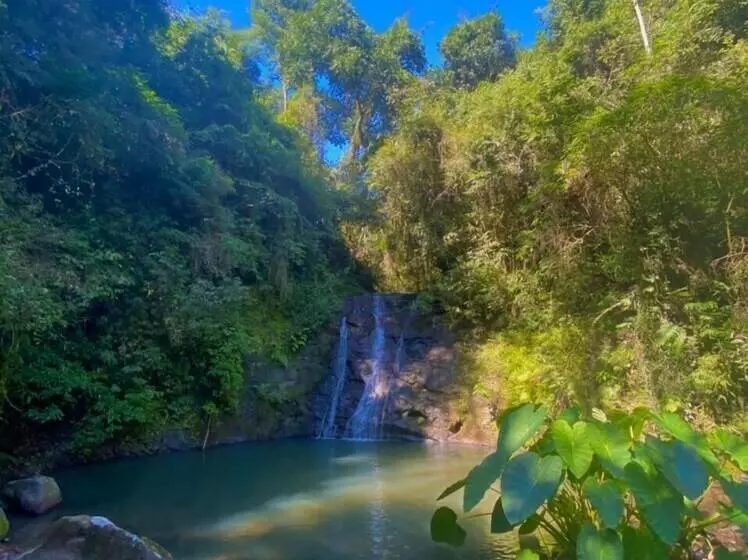 Hostelli Pousada Portal Da Cachoeira