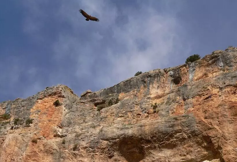 ホテル Balneario Sicilia