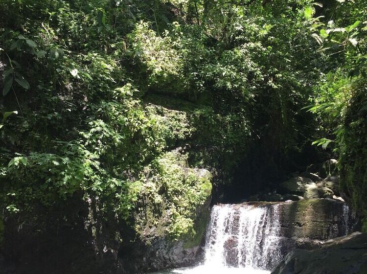 בית מלון כפרי Casa Swell Coronado