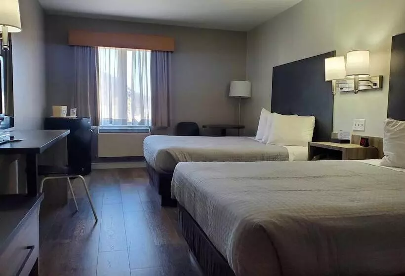 ホテル Hôtel Le 625