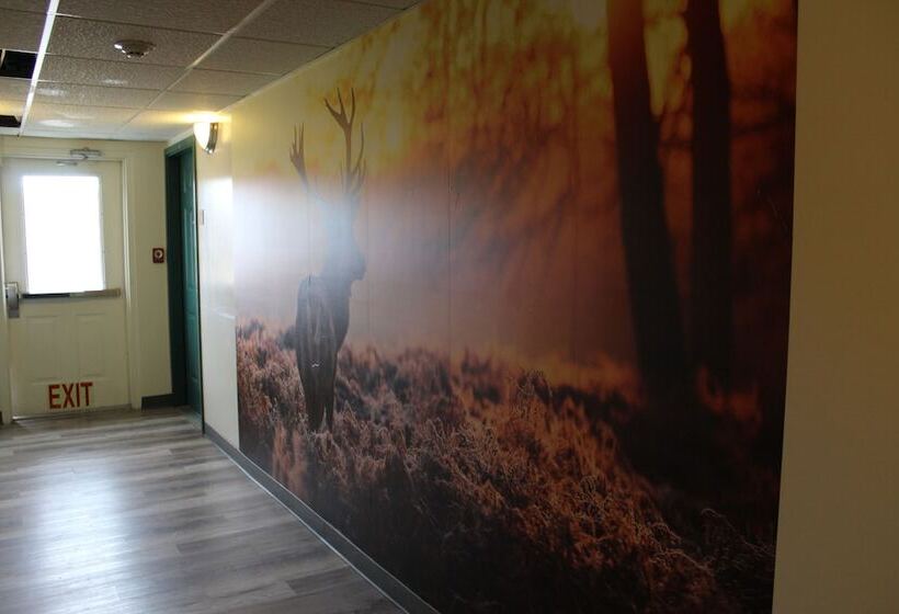 فندق Jefferson Inn