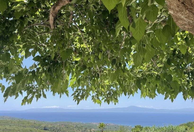 בית מלון כפרי Rustic Hill Private Pool Suites