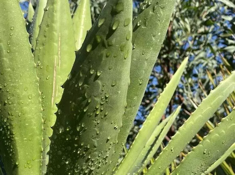 هتل Rustic Hill Private Pool Suites