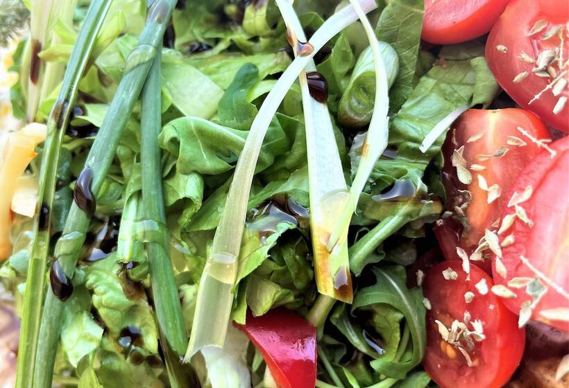 בית מלון כפרי Rustic Hill Private Pool Suites