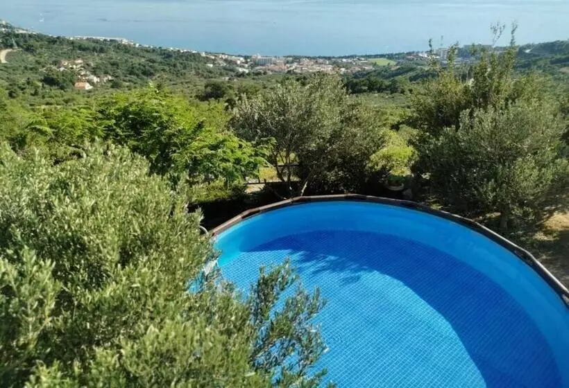 Ivo   With Pool   A1