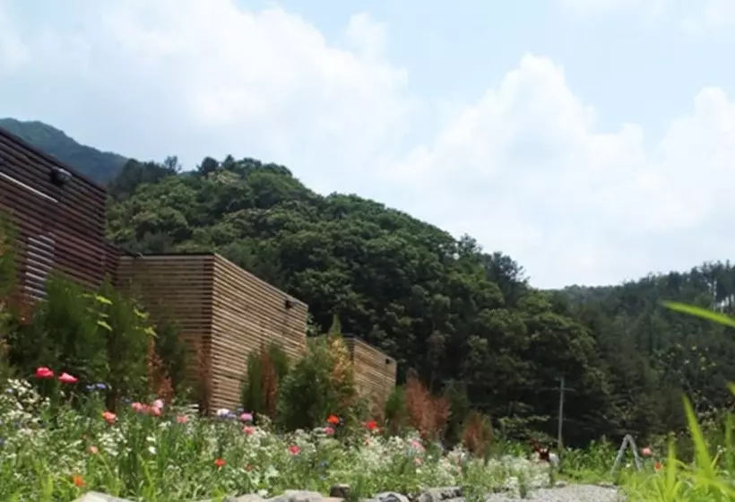 ペンション Gapyeong 240st Pool Villa