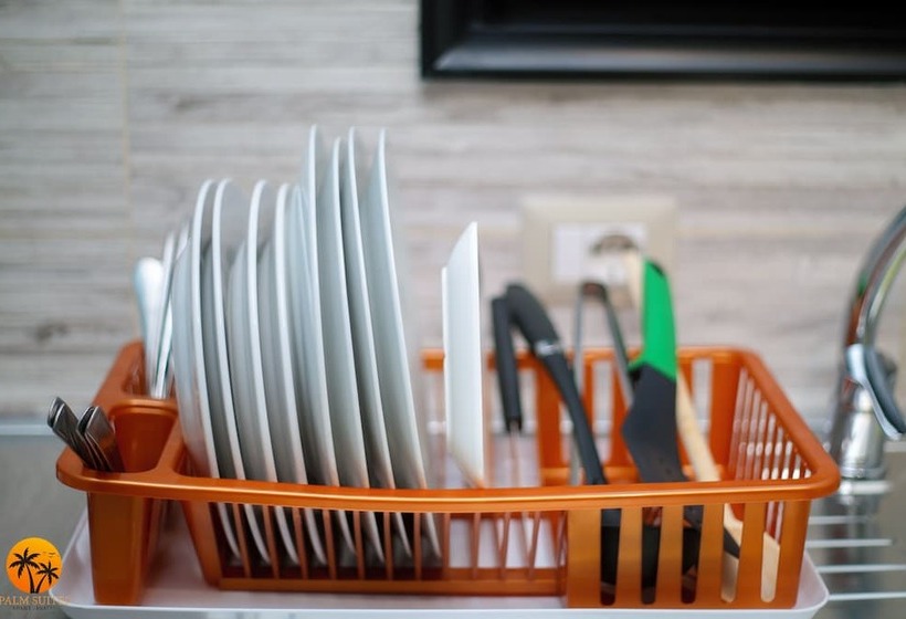 膳宿费 Palm Suites Apartment Suite