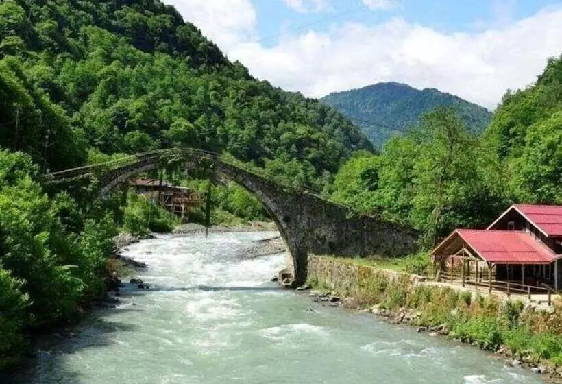 Sevdaluk Pansiyon