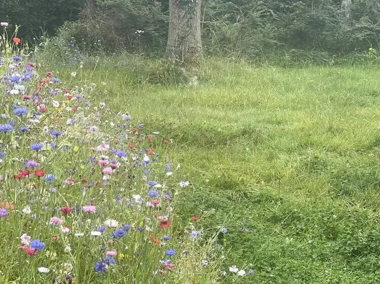 Aamiaismajoitus (B&B) Egn Boutique