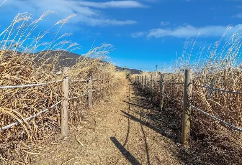 Ganghwa The Starspa Pension