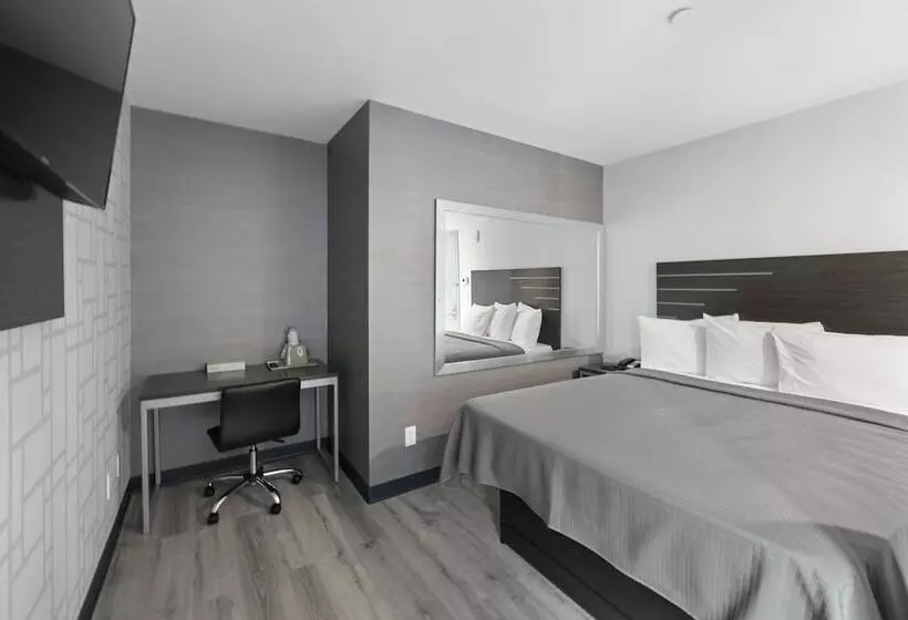 Hotelli 365 Bronx