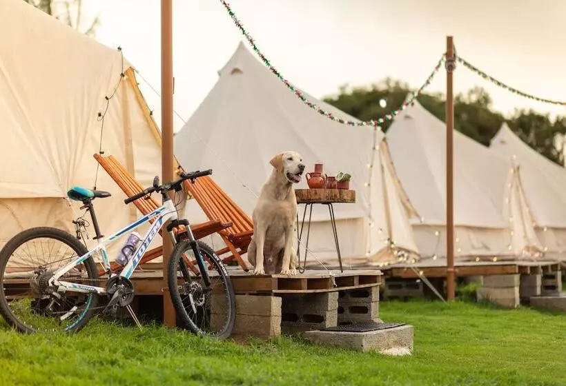 ホテル Glamping Octli   Santuario De Las Luciernagas X Nantli Living