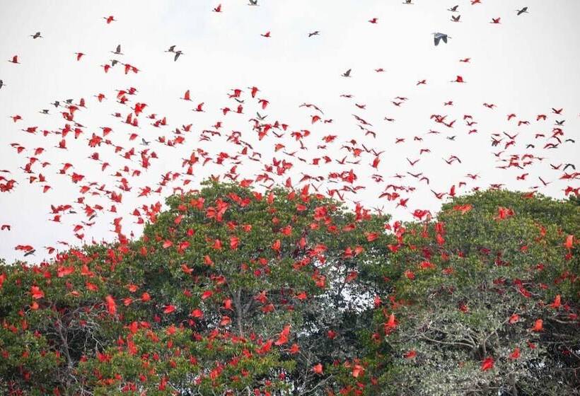 Отель Pousada Sonho De Mar