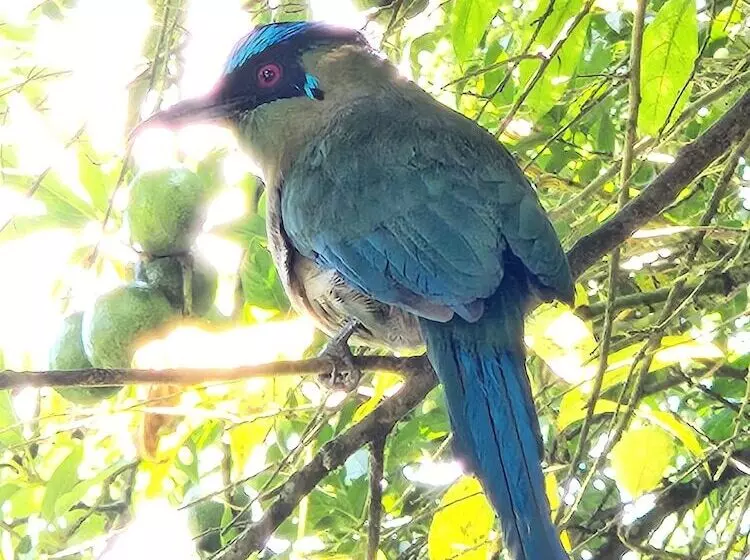 Maaseutuhotelli Hostería Brisas Del Río
