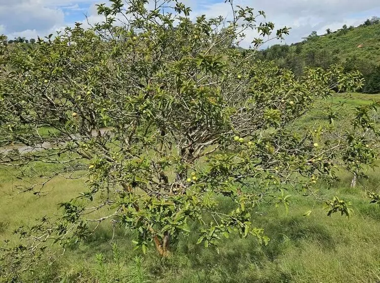 Maaseutuhotelli Hostería Brisas Del Río