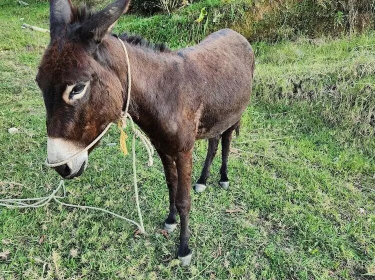 Maaseutuhotelli Hostería Brisas Del Río