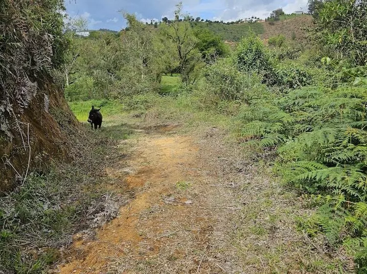 Maaseutuhotelli Hostería Brisas Del Río