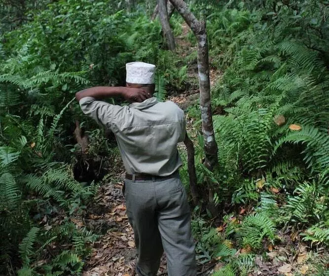 Hotelli Amani Villas Nature Retreat