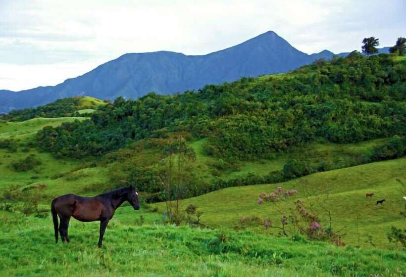 Отель Bomboli Cloud Forest