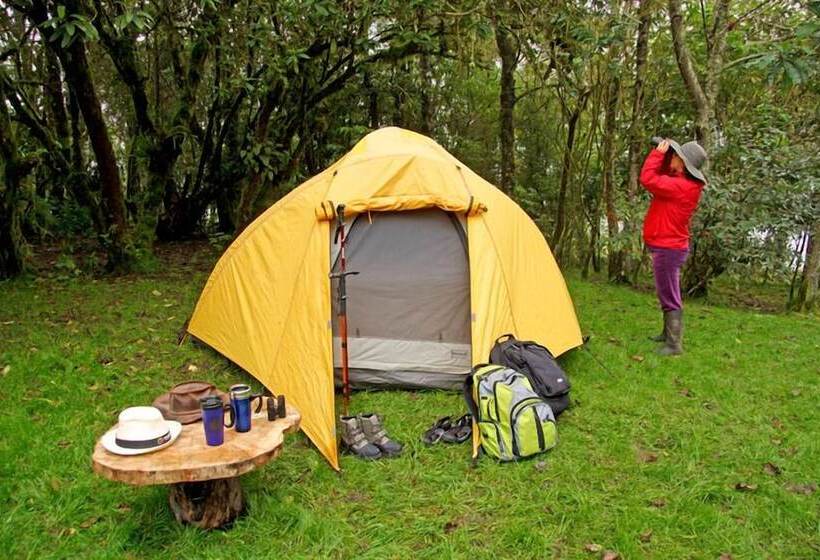 Отель Bomboli Cloud Forest