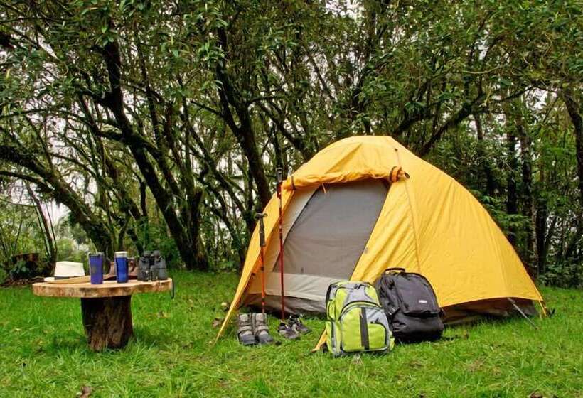 Отель Bomboli Cloud Forest