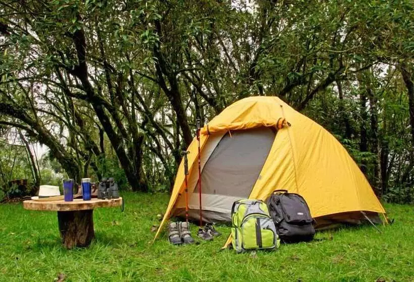 ホテル Bomboli Cloud Forest