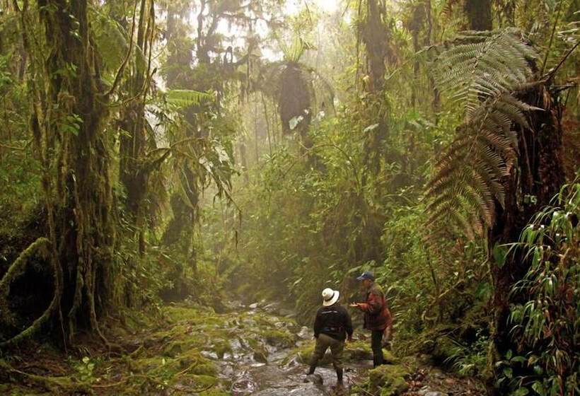 Отель Bomboli Cloud Forest