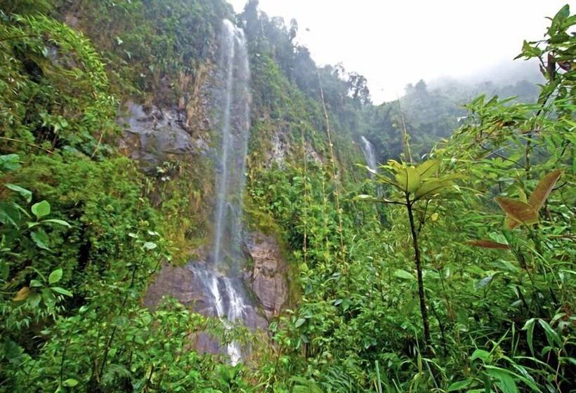 Отель Bomboli Cloud Forest