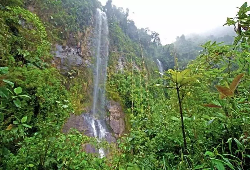 ホテル Bomboli Cloud Forest